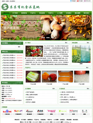 廣州網(wǎng)站建設(shè)