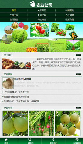 廣州網(wǎng)站建設(shè)